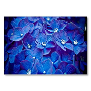 Mavi Taç Yapraklı Çiçekler Ve Beyaz Tohumları Mdf Ahşap Tablo 35x50 cm
