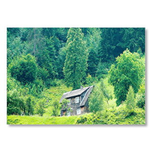 Yemyeşil Orman Ve Önündeki Ahşap Ev Mdf Ahşap Tablo 35x50 cm