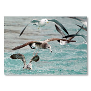 Martılar Ve Dalgalı Deniz Arka Plan Mdf Ahşap Tablo 50x70 cm