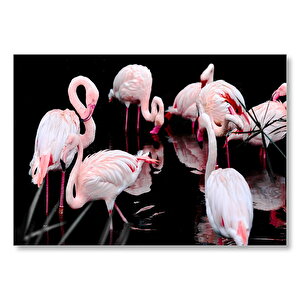 Flamingolar Karanlık Göl Arka Plan Mdf Ahşap Tablo 25x35 cm