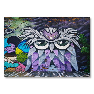 Grafiti Sokak Sanatı Baykuş Görseli Mdf Ahşap Tablo 50x70 cm