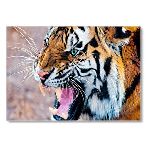 Kükreyen Kaplan Mdf Ahşap Tablo 50x70 cm