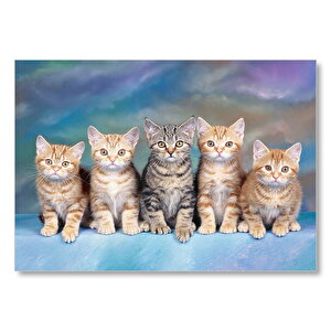 Mavi Zeminde Oturan Sarmanlar Ve Tekir Mdf Ahşap Tablo 25x35 cm