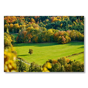 Ormanın Ortasındaki Yemyeşil Arazi Ve Yalnız Ağaç Mdf Ahşap Tablo 50x70 cm