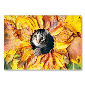 Sonbahar Rengi Yapraklar Arasındaki Kedi Mdf Ahşap Tablo 35x50 cm