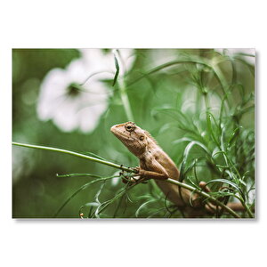 Yeşil Dallar Arasındaki İguana Flu Arka Plan Mdf Ahşap Tablo 35x50 cm