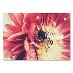 Kırmızı Çiçekten Polen Toplayan Arı Mdf Ahşap Tablo 25x35 cm