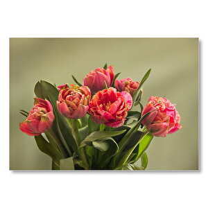 Kırmızı Laleler Ve Yeşil Yaprakları Mdf Ahşap Tablo 50x70 cm