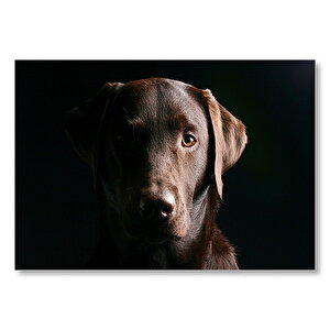 Av Köpeği Evcil Hayvanla Mdf Ahşap Tablo 35x50 cm