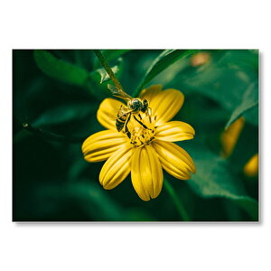 Sarı Çiçekten Polen Toplayan Arı Mdf Ahşap Tablo 25x35 cm