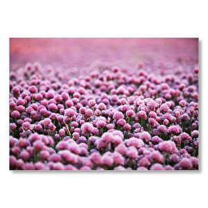 Mor Renkli Tomurcuk Çiçekler Mdf Ahşap Tablo 35x50 cm