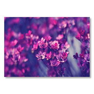 Kırmızı Ve Mor Çiçekler Görseli Mdf Ahşap Tablo 25x35 cm