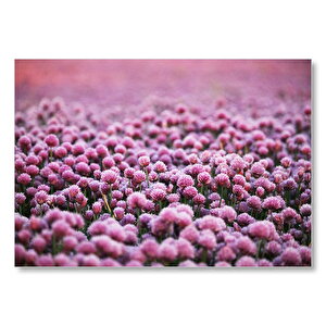 Mor Renkli Tomurcuk Çiçekler Mdf Ahşap Tablo 50x70 cm