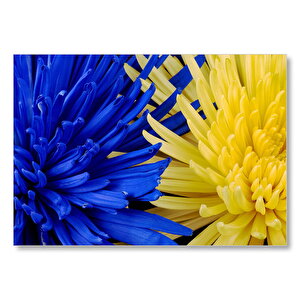 Sarı Ve Mavi Çiçekler Yanyana Yakın Çekim Mdf Ahşap Tablo 50x70 cm