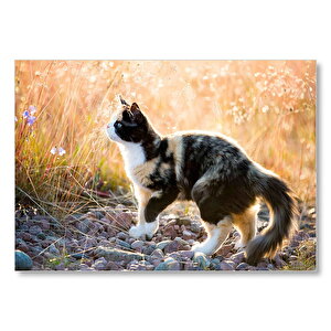 Taşların Üzerinde 3 Renk Kedi Ve Sarı Otlar Mdf Ahşap Tablo 25x35 cm