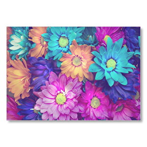 Rengarenk Taç Yapraklı Çiçekler Bir Arada Mdf Ahşap Tablo 50x70 cm