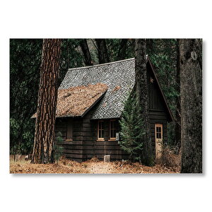 Koyu Ormandaki Ahşap Ev Ve Dev Ağaçlar Mdf Ahşap Tablo 25x35 cm