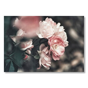 Pembe Güller Flu Arka Plan Mdf Ahşap Tablo 25x35 cm