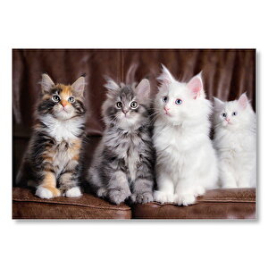 Kahverengi Deri Koltukta Sevimli 4 Kedi Mdf Ahşap Tablo 35x50 cm