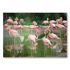 Durgun Gölde Beslenen Flamingolar Mdf Ahşap Tablo 35x50 cm