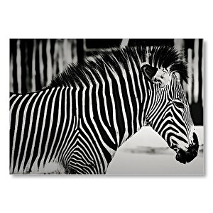 Benzersiz Deseniyle Zebra Yakın Çekim Mdf Ahşap Tablo 25x35 cm