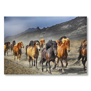 Tozlu Yolda Koşan Vahşi Atlar Mdf Ahşap Tablo 50x70 cm