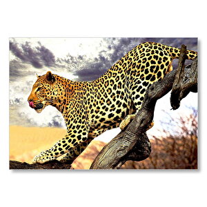 Yaban Hayat Leopar Hayvan Görseli Mdf Ahşap Tablo 25x35 cm