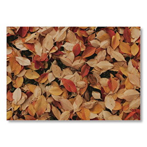 Üstüste Sonbahar Yaprakları Mdf Ahşap Tablo 35x50 cm