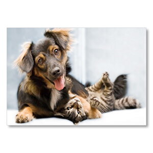 Sıkı Dostlar Sevimli Köpek Ve Kedicik Mdf Ahşap Tablo 35x50 cm