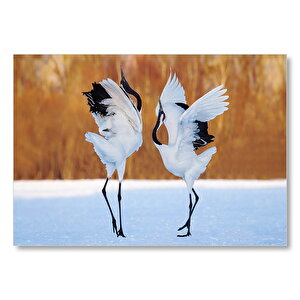 Japon Turna Dansı Görseli Mdf Ahşap Tablo 35x50 cm