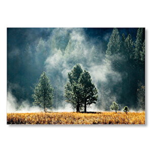 Sarı Çayırlar, Sık Orman Ve Sisler Mdf Ahşap Tablo 50x70 cm