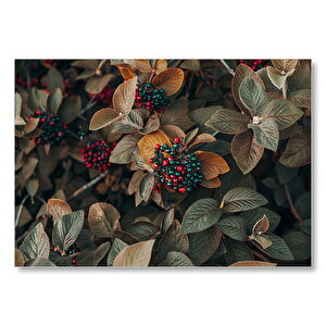 Kadife Yeşili Yapraklar Ve Kırmızı Ve Yeşil Meyveler Mdf Ahşap Tablo 50x70 cm