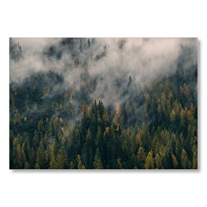 Sık Ormanı Yutan Sis Mdf Ahşap Tablo 35x50 cm