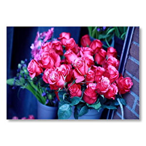Saksı İçinde Muhteşem Kırmızı Güller Mdf Ahşap Tablo 50x70 cm