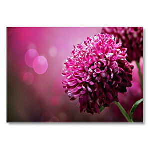 Lila Rengi Çiçek Yakın Çekim Flu Arkaplan Mdf Ahşap Tablo 25x35 cm