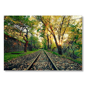 Ormanın İçinden Geçen Trenyolu Ve Güneş Işıkları Mdf Ahşap Tablo 35x50 cm