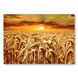Eğilmiş Buğday Başakları Ve Gün Batımı Mdf Ahşap Tablo 25x35 cm