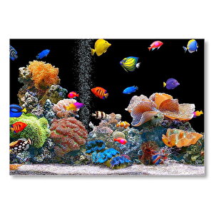 Rengarenk Deniz Akvaryumu Mdf Ahşap Tablo 50x70 cm