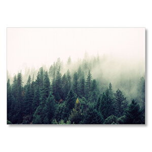 Sisler İçindeki Yemyeşil Orman Mdf Ahşap Tablo 35x50 cm