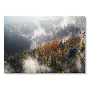 Sonbahar Renklerinde Orman Ve Sisler Mdf Ahşap Tablo 35x50 cm