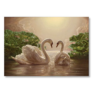 Altın Rengi Sularda Beyaz Kuğu Çifti Mdf Ahşap Tablo 50x70 cm