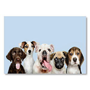 Sevimli 5 Köpek Portre Gökyüzü Arka Plan Mdf Ahşap Tablo 35x50 cm