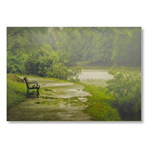 Yağmurda Yemyeşil Orman Ve Boş Bank Mdf Ahşap Tablo 35x50 cm