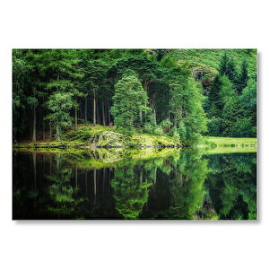 Su Ve Yeşilin İnanılmaz Buluşması Mdf Ahşap Tablo 50x70 cm