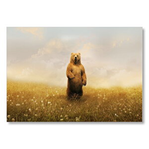 Sisli Çayırda Ayakta Duran Boz Ayı Mdf Ahşap Tablo 50x70 cm