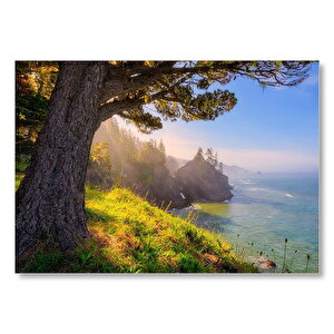 Gündoğumu Deniz Manzaralı Tepedeki Ağaç Mdf Ahşap Tablo 50x70 cm