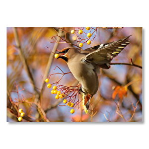 Sarı Meyveli Ağaç Ve Sevimli Kuş Mdf Ahşap Tablo 35x50 cm