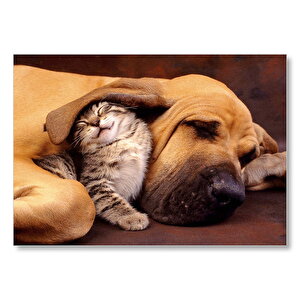 Sevimli Sharpy Köpek Ve Yavru Kedi Mdf Ahşap Tablo 50x70 cm