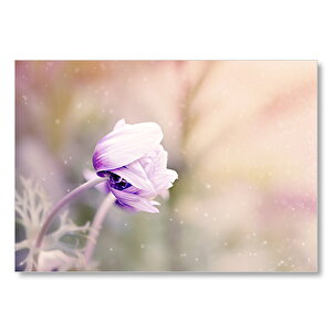 Eflatun Rengi Çiçek Ve Su Damlaları Mdf Ahşap Tablo 50x70 cm