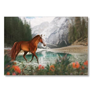 Göl Kıyısında Kahverengi At Flu Orman Arka Plan Mdf Ahşap Tablo 50x70 cm